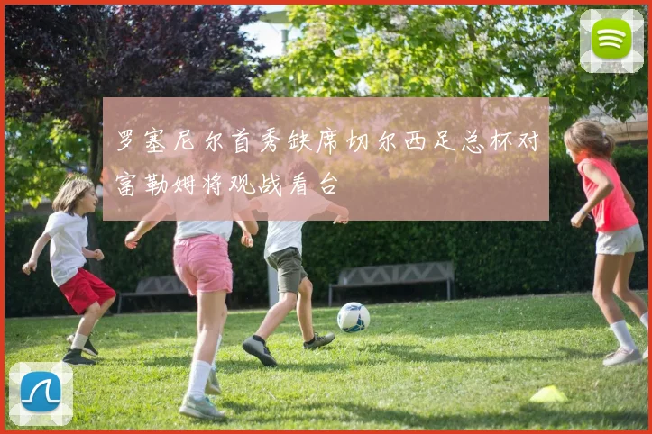 罗塞尼尔首秀缺席切尔西足总杯对富勒姆将观战看台